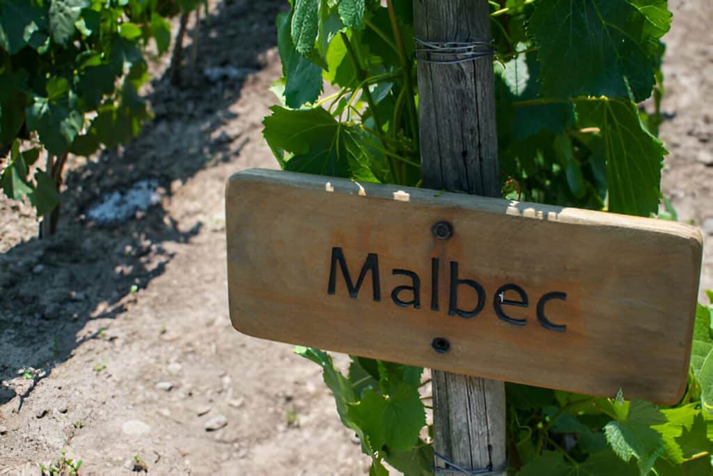 Visiter le Lot vignoble