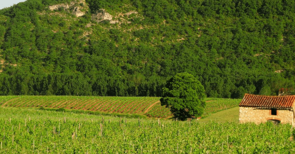 Quercy Blanc