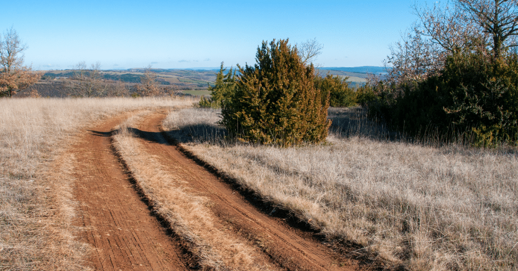 Les traditions du Quercy : plongez dans la culture locale et assistez aux festivités traditionnelles