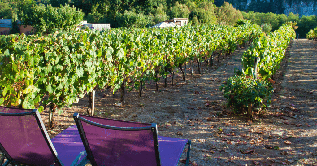 vignobles du Lot