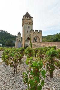vignes devant le pont Valentré à Cahors