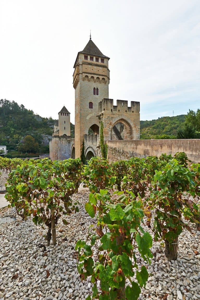 vignes devant le pont Valentré à Cahors